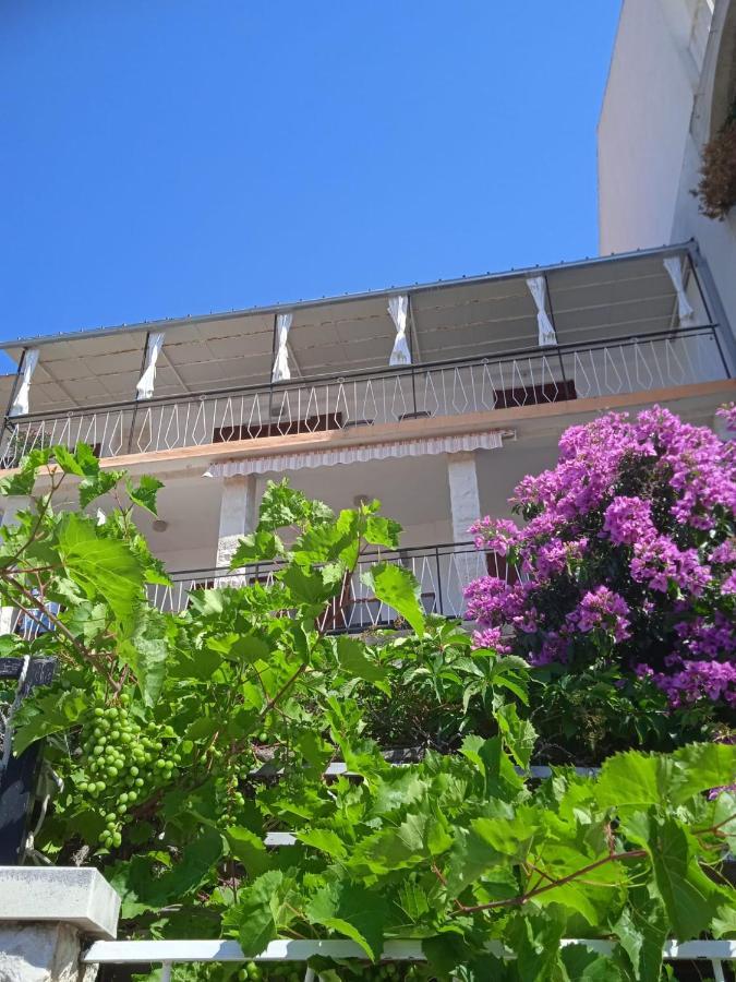 Stonewood Dalmacija Daire Primošten Dış mekan fotoğraf